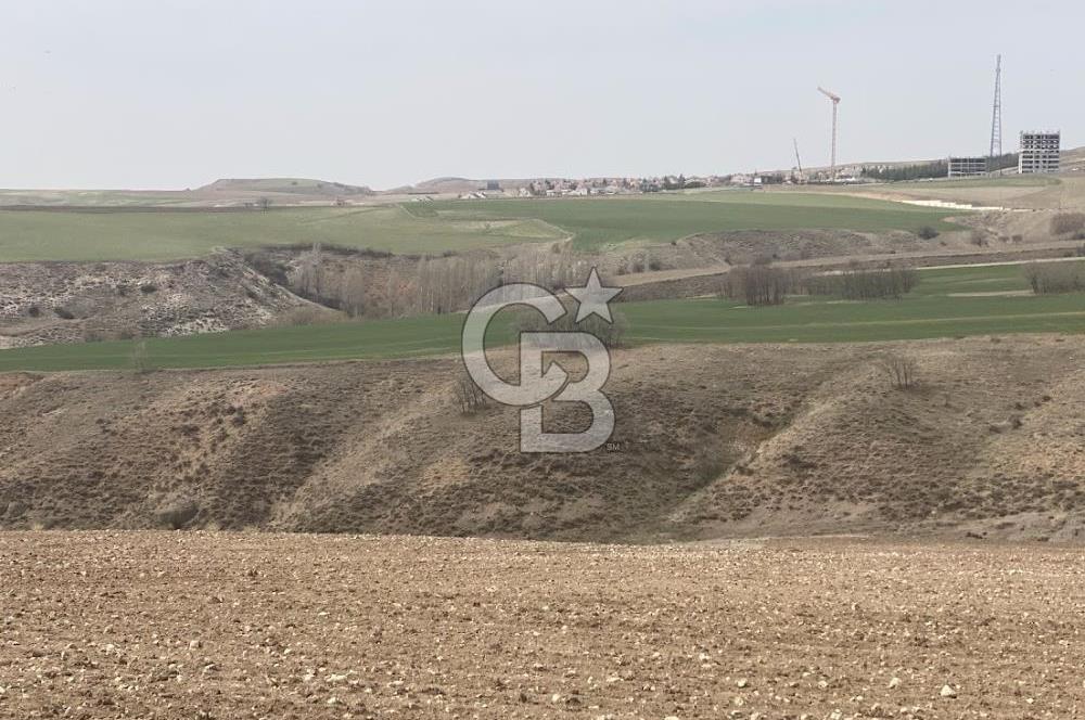 YUKARIYURTÇU' DA SATILIK YATIRIMLIK İMARA SINIR SATILIK TARLA