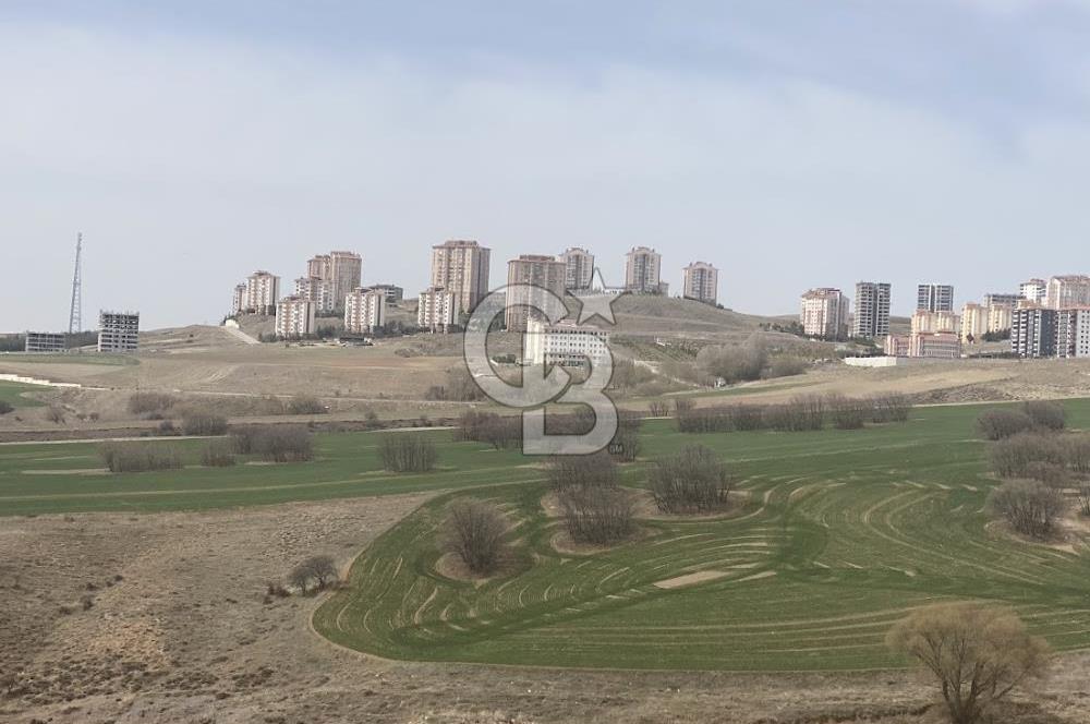 YUKARIYURTÇU' DA SATILIK YATIRIMLIK İMARA SINIR SATILIK TARLA