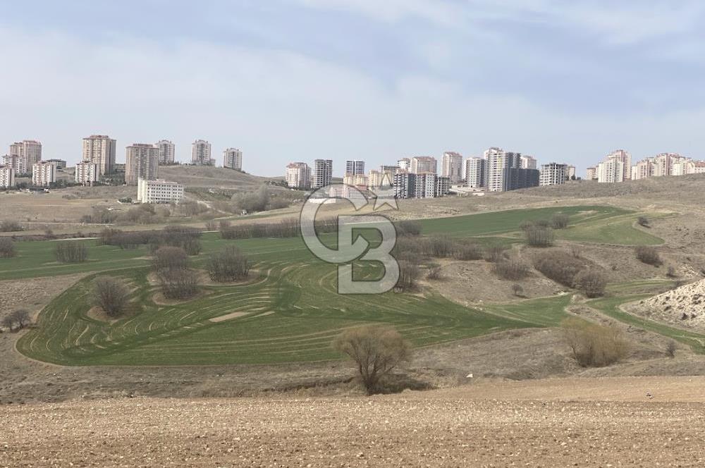 YUKARIYURTÇU' DA SATILIK YATIRIMLIK İMARA SINIR SATILIK TARLA