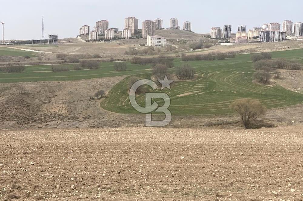 YUKARIYURTÇU' DA SATILIK YATIRIMLIK İMARA SINIR SATILIK TARLA