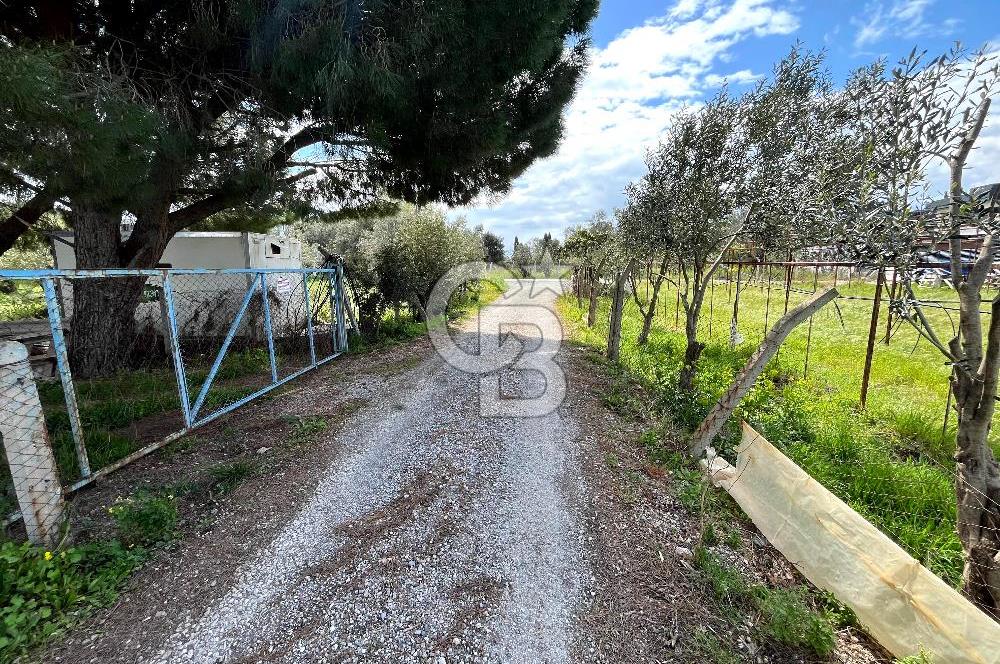 YELKİ ODTÜ KOLEJİ YAKINI SATILIK VİLLA ARSASI