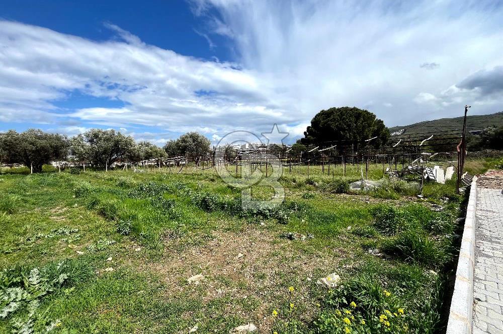 YELKİ ODTÜ KOLEJİ YAKINI SATILIK VİLLA ARSASI