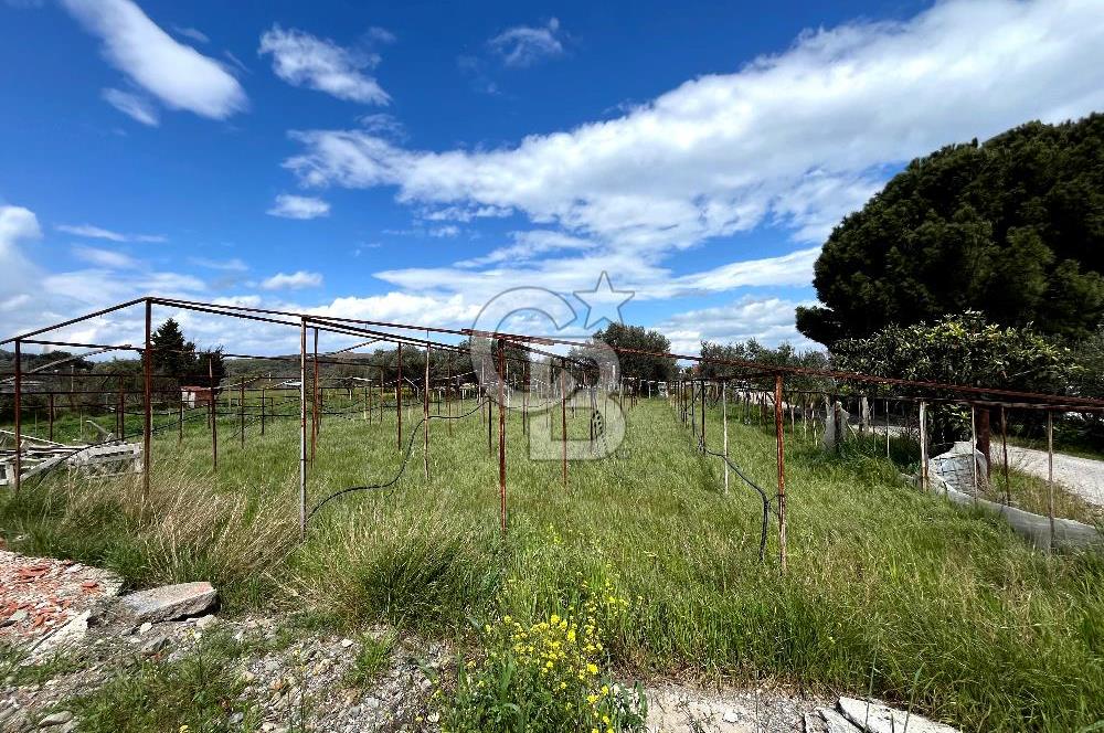 YELKİ ODTÜ KOLEJİ YAKINI SATILIK VİLLA ARSASI