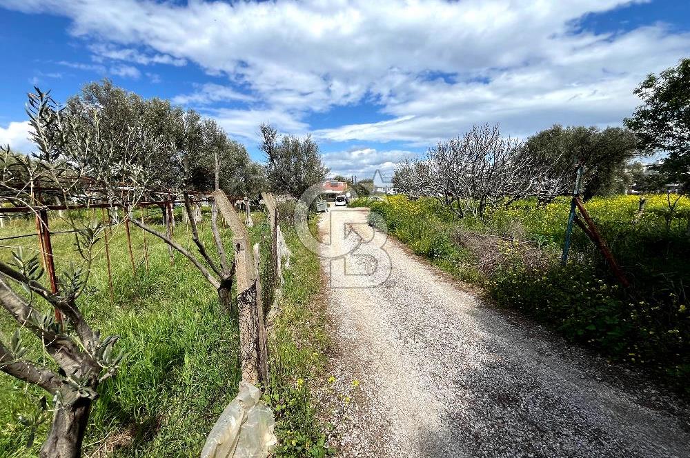 YELKİ ODTÜ KOLEJİ YAKINI SATILIK VİLLA ARSASI