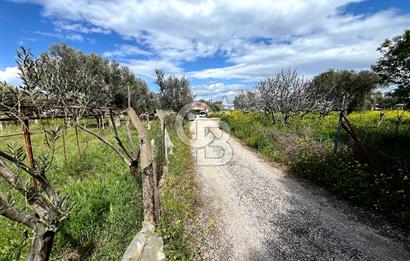 YELKİ ODTÜ KOLEJİ YAKINI SATILIK VİLLA ARSASI