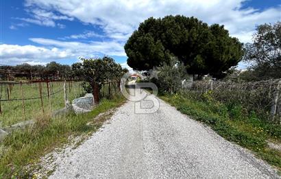 YELKİ ODTÜ KOLEJİ YAKINI SATILIK VİLLA ARSASI