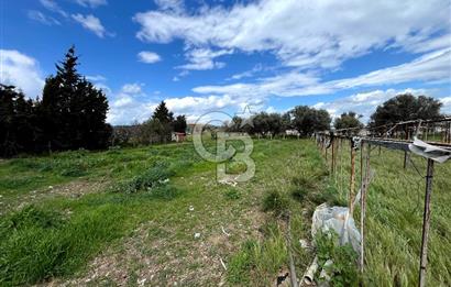 YELKİ ODTÜ KOLEJİ YAKINI SATILIK VİLLA ARSASI