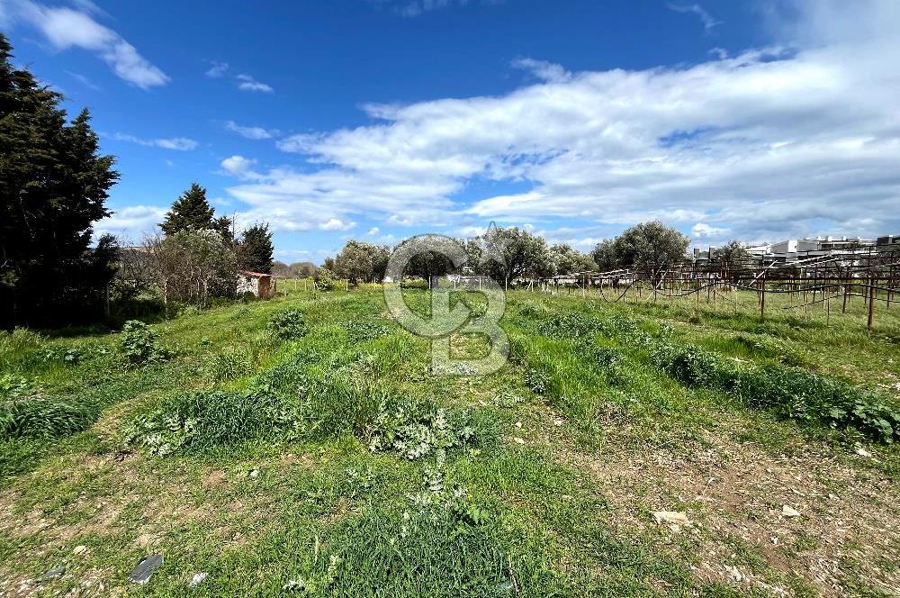 YELKİ ODTÜ KOLEJİ YAKINI SATILIK VİLLA ARSASI