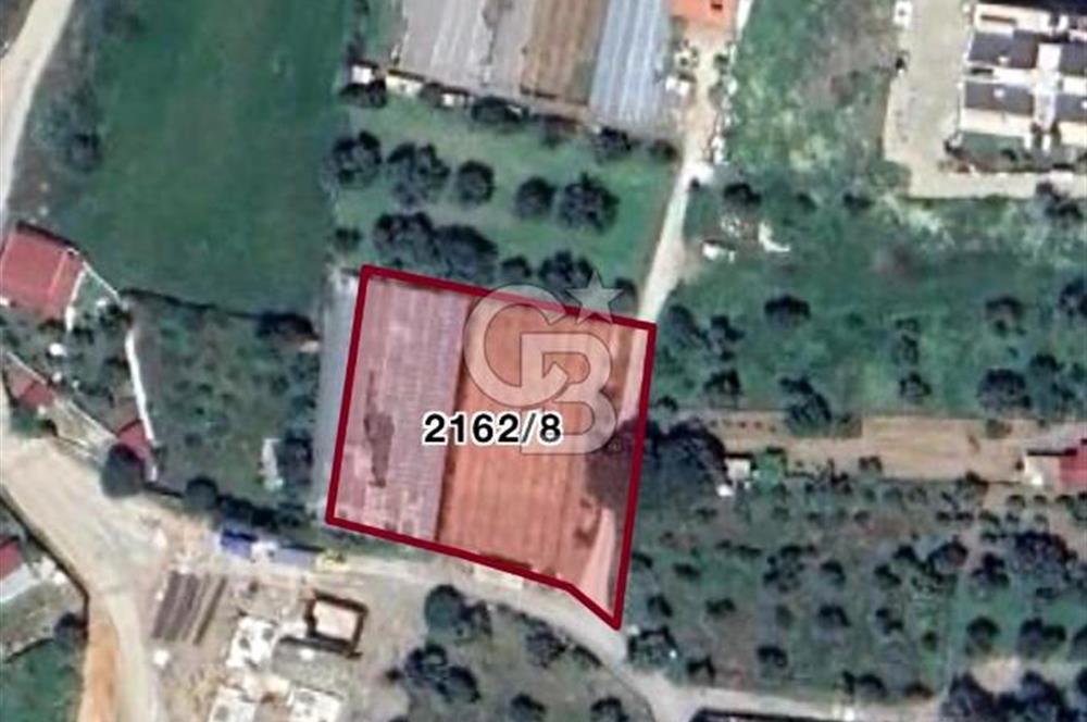 YELKİ ODTÜ KOLEJİ YAKINI SATILIK VİLLA ARSASI