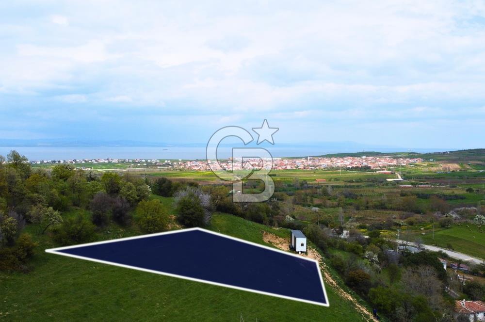 Çanakkale Lapseki'de Doğa ve Deniz Manzaralı 444m² İmarlı Arsa