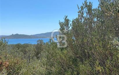 AYVALIK CUNDA ADASI PATRİÇA MEVKİİNDE DENİZ MANZARALI ZEYTİNLİK