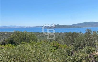 AYVALIK CUNDA ADASI PATRİÇA MEVKİİNDE DENİZ MANZARALI ZEYTİNLİK