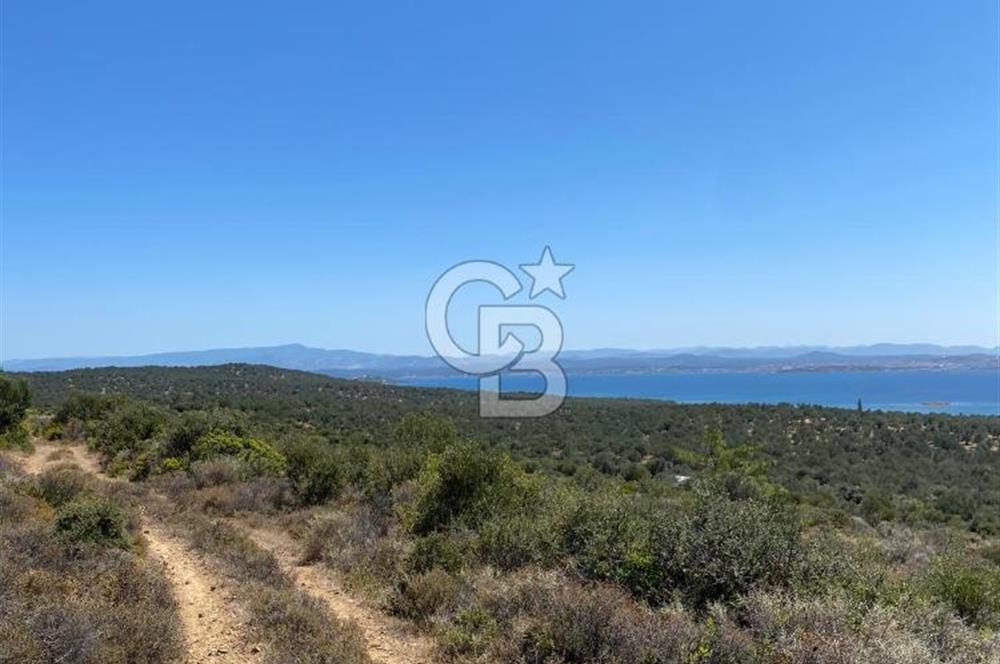 AYVALIK CUNDA ADASI PATRİÇA MEVKİİNDE DENİZ MANZARALI ZEYTİNLİK