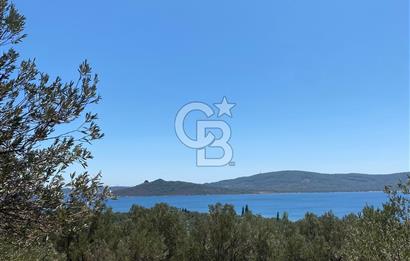 AYVALIK CUNDA ADASI PATRİÇA MEVKİİNDE DENİZ MANZARALI ZEYTİNLİK