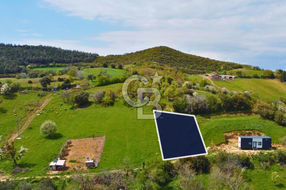 Çanakkale Lapseki'de Doğa ve Deniz Manzaralı 444m² İmarlı Arsa