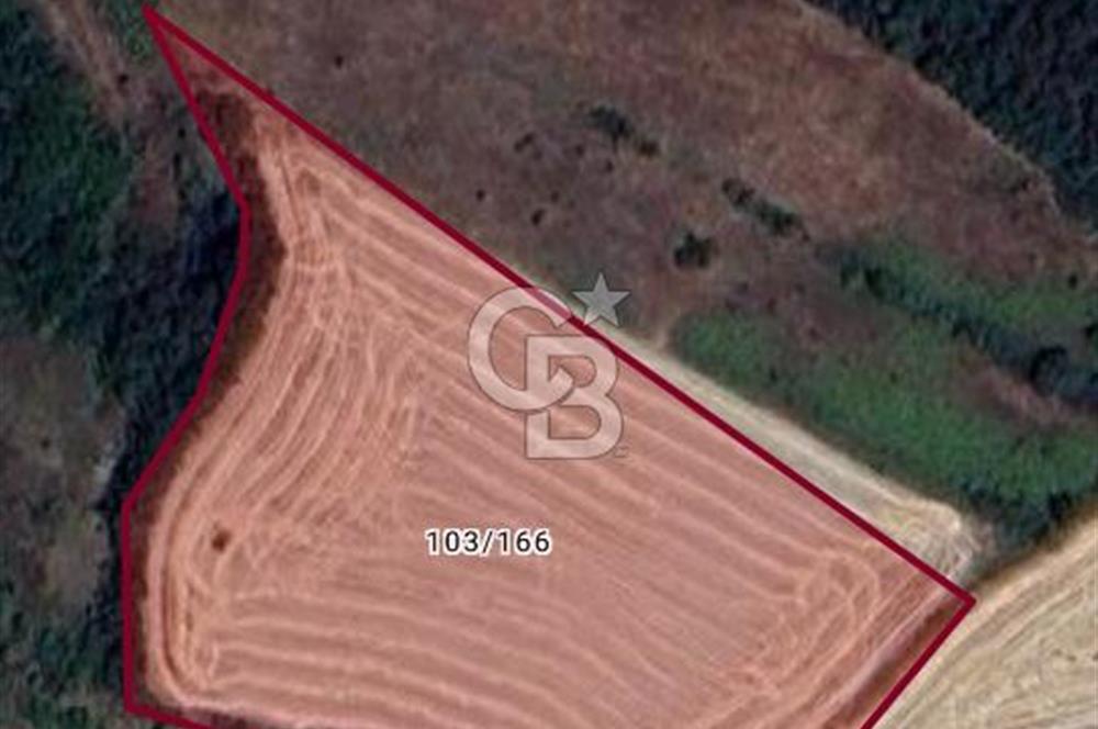 EDİRNE ORHANİYE KÖYÜNDE SATILIK 9065 METREKARE FIRSAT ARAZİ