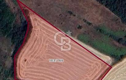 EDİRNE ORHANİYE KÖYÜNDE SATILIK 9065 METREKARE FIRSAT ARAZİ