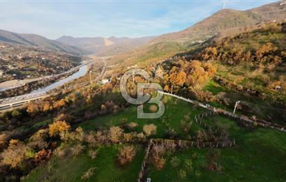 GEYVE EPÇELERDE SATILIK BAĞ3.997 m² 