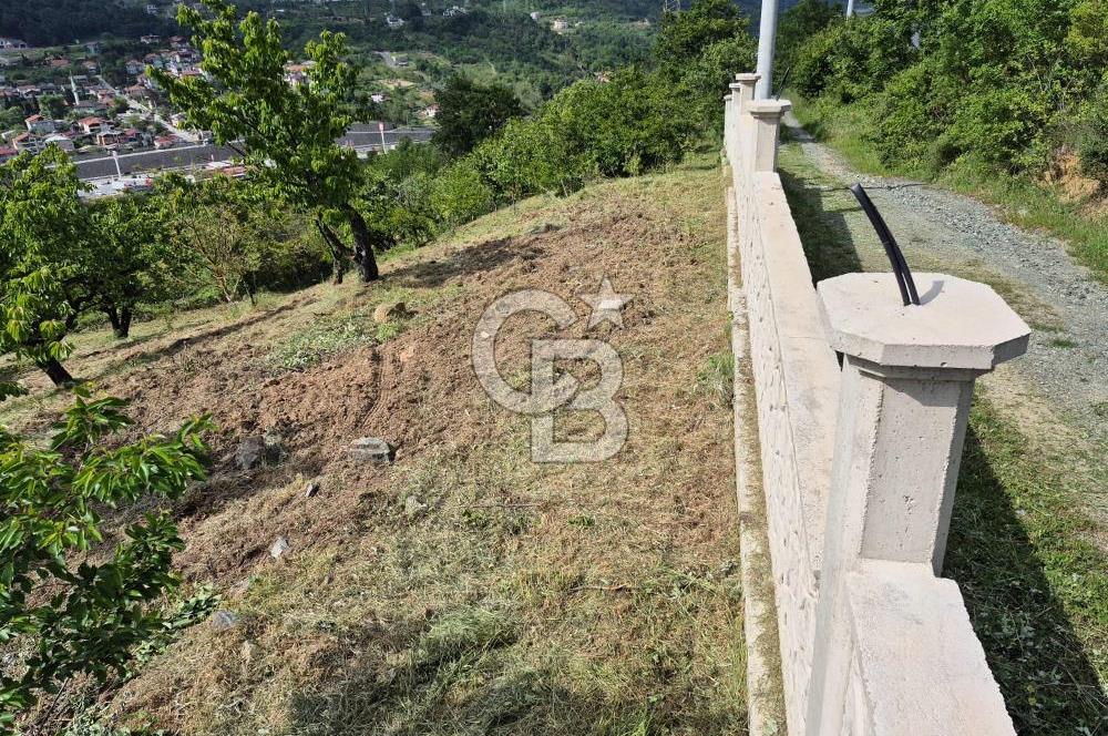 GEYVE EPÇELERDE SATILIK BAĞ3.997 m² 