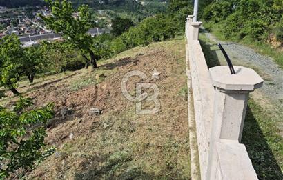 GEYVE EPÇELERDE SATILIK BAĞ3.997 m² 
