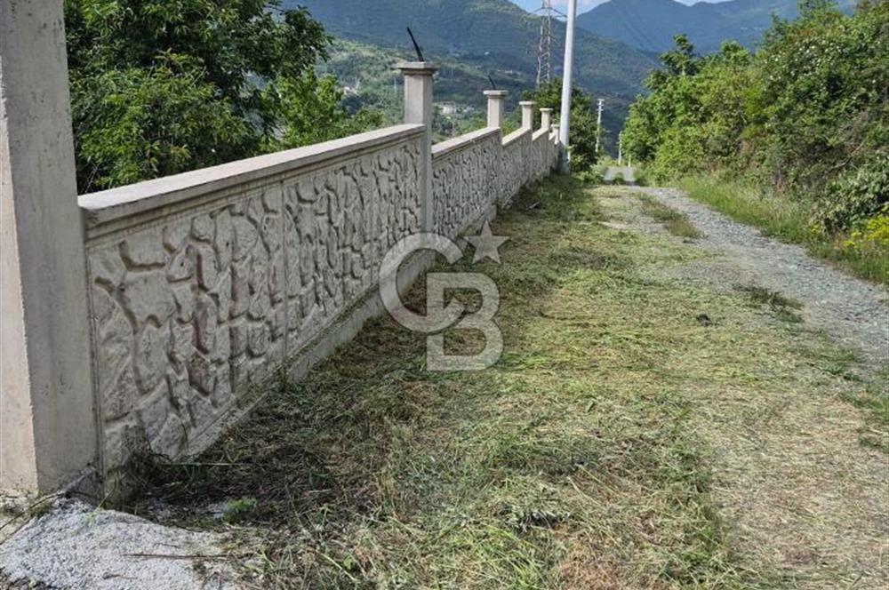 GEYVE EPÇELERDE SATILIK BAĞ3.997 m² 