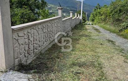 GEYVE EPÇELERDE SATILIK BAĞ3.997 m² 