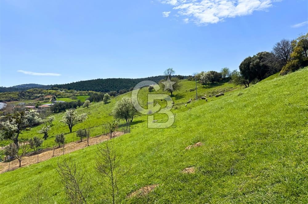 Çanakkale Lapseki'de Doğa ve Deniz Manzaralı 444m² İmarlı Arsa