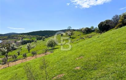 Çanakkale Lapseki'de Doğa ve Deniz Manzaralı 444m² İmarlı Arsa