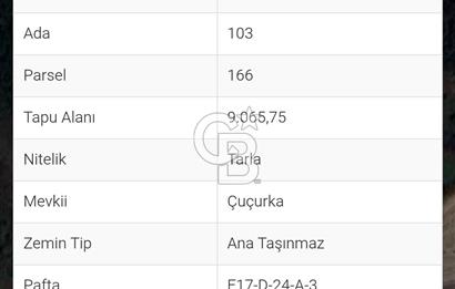 EDİRNE ORHANİYE KÖYÜNDE SATILIK 9065 METREKARE FIRSAT ARAZİ