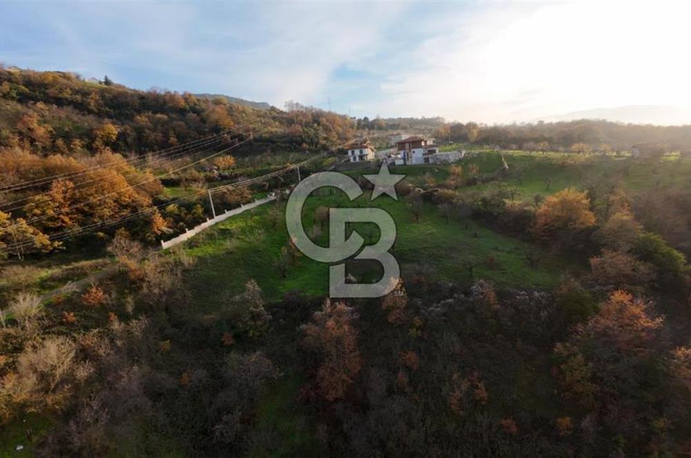 GEYVE EPÇELERDE SATILIK BAĞ3.997 m² 