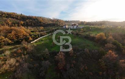 GEYVE EPÇELERDE SATILIK BAĞ3.997 m² 
