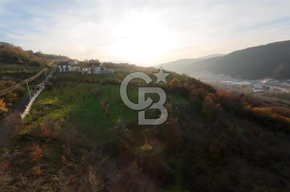 GEYVE EPÇELERDE SATILIK BAĞ3.997 m² 