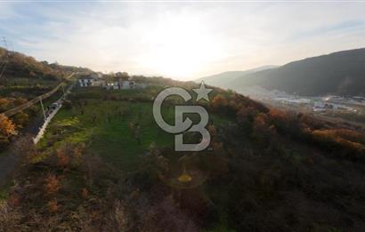 GEYVE EPÇELERDE SATILIK BAĞ3.997 m² 