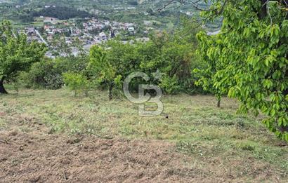 GEYVE EPÇELERDE SATILIK BAĞ3.997 m² 