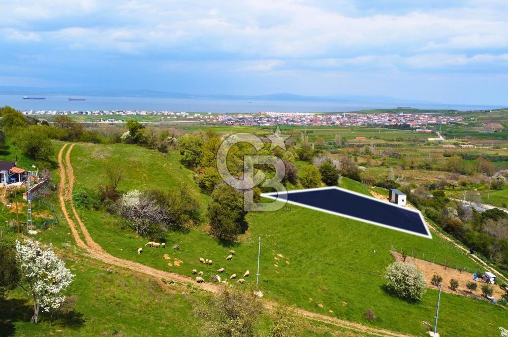 Çanakkale Lapseki'de Doğa ve Deniz Manzaralı 444m² İmarlı Arsa