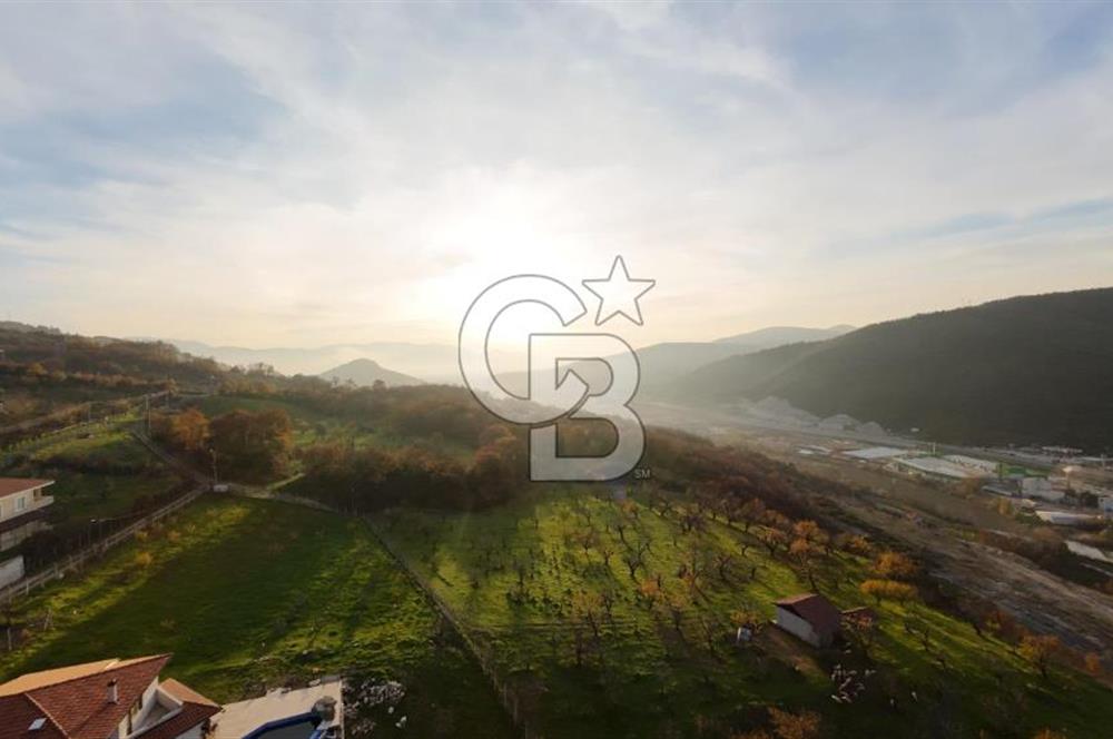 GEYVE EPÇELERDE SATILIK BAĞ3.997 m² 