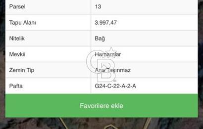GEYVE EPÇELERDE SATILIK BAĞ3.997 m² 