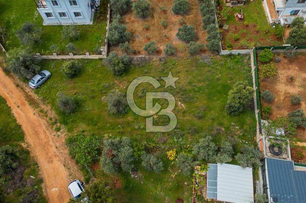 DUACI’DA HARİKA KONUMDA İMARLI SATILIK ARSA