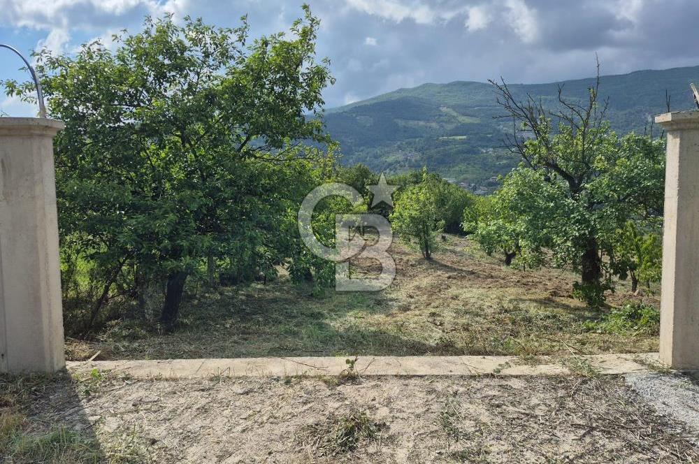 GEYVE EPÇELERDE SATILIK BAĞ3.997 m² 
