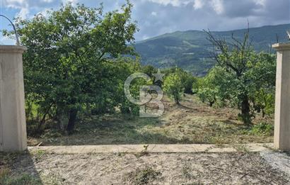 GEYVE EPÇELERDE SATILIK BAĞ3.997 m² 