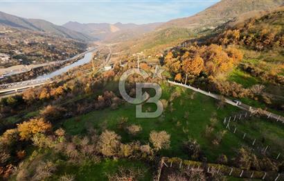 GEYVE EPÇELERDE SATILIK BAĞ3.997 m² 