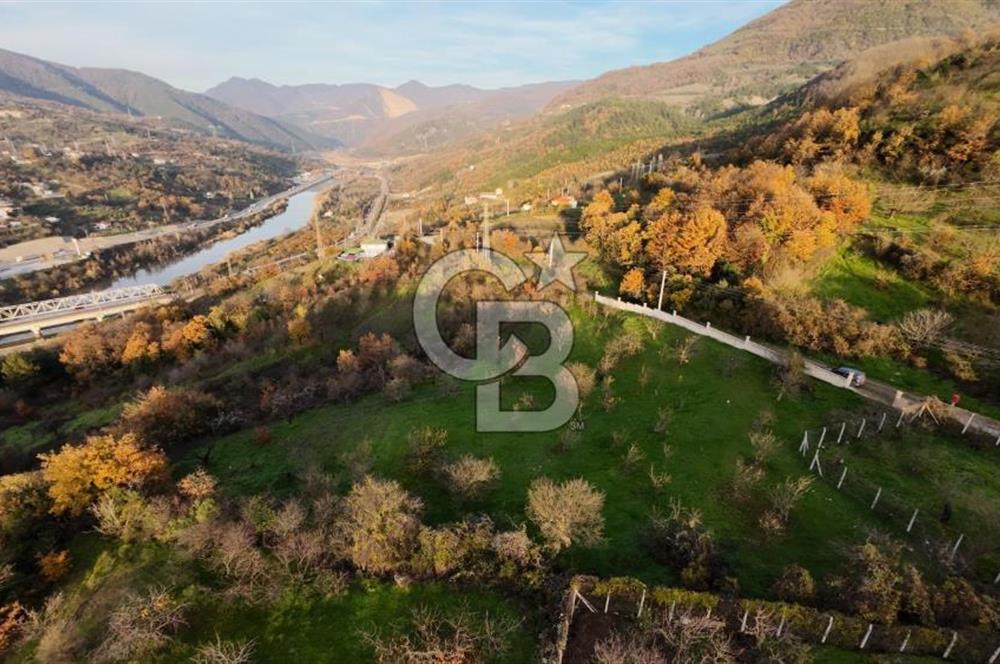 GEYVE EPÇELERDE SATILIK BAĞ3.997 m² 