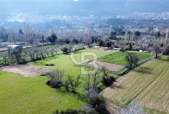 Tekkeköy'de Satılık Tarla - 1 - 345145