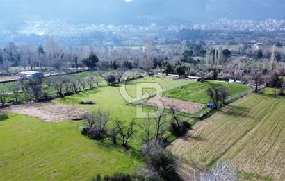 Tekkeköy'de Satılık Tarla