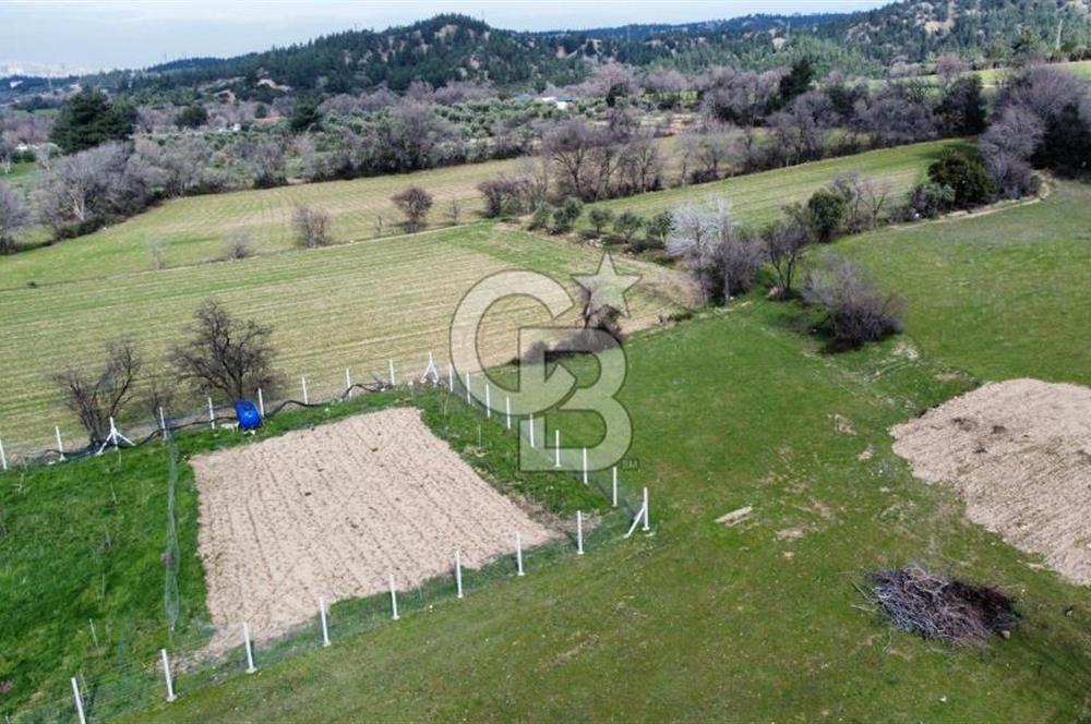 Tekkeköy'de Satılık Tarla