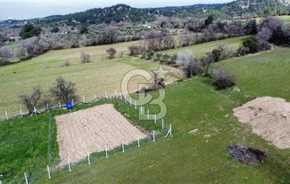 Tekkeköy'de Satılık Tarla