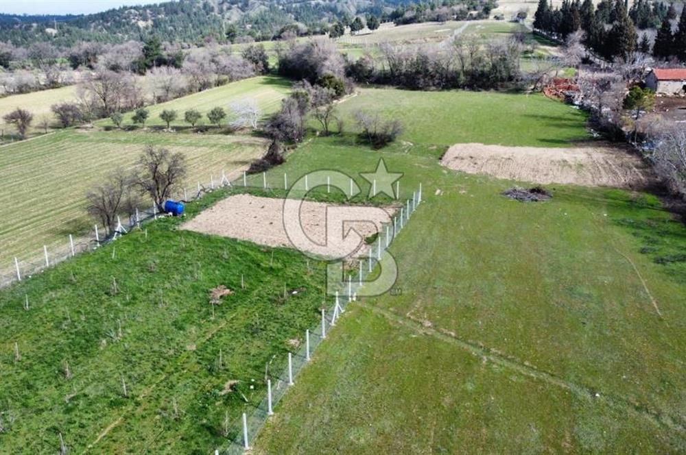 Tekkeköy'de Satılık Tarla