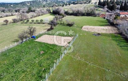 Tekkeköy'de Satılık Tarla