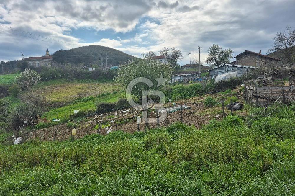 ÇANAKKALE ÇAN DONDURMA'DA KÖYİÇİ SATILIK ARSA 4175M2