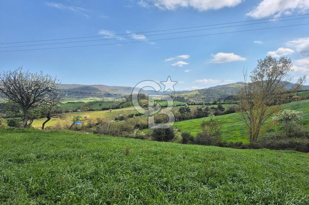 ÇANAKKALE ÇAN DONDURMA'DA KÖYİÇİ SATILIK ARSA 4175M2